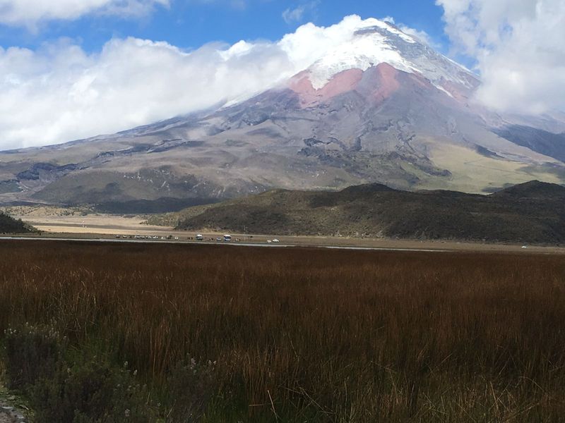 Quito Private Tour - Cotopaxi from Limpiopungo lake 