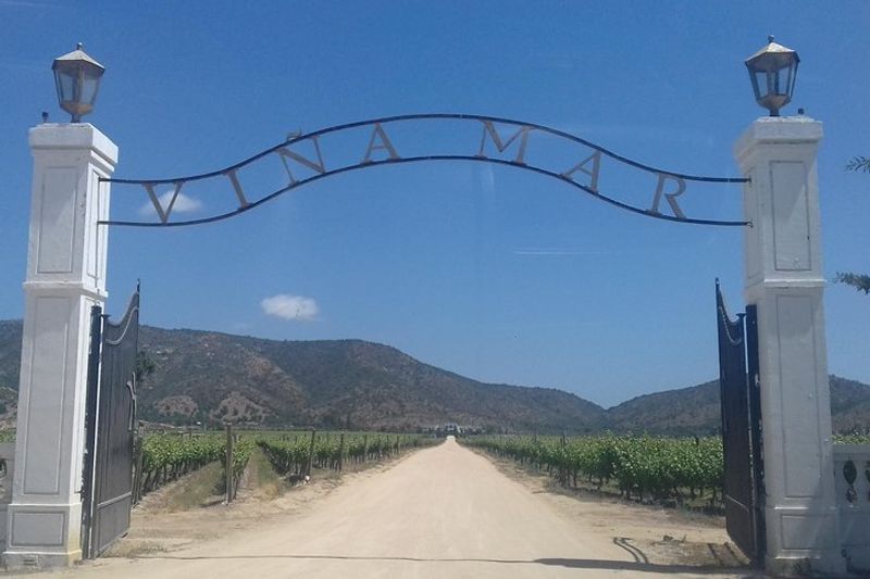 Santiago Private Tour - Gates of Viña Mar Vineyard