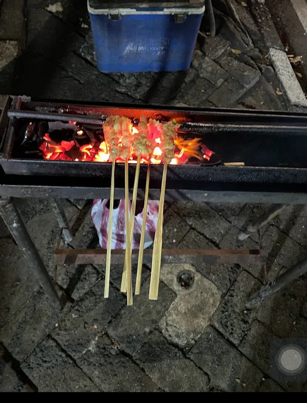 Jakarta Private Tour - Grilled Sate Cobra