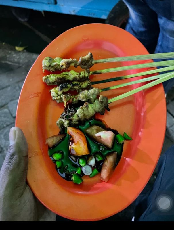 Jakarta Private Tour - Sate of Cobra meat