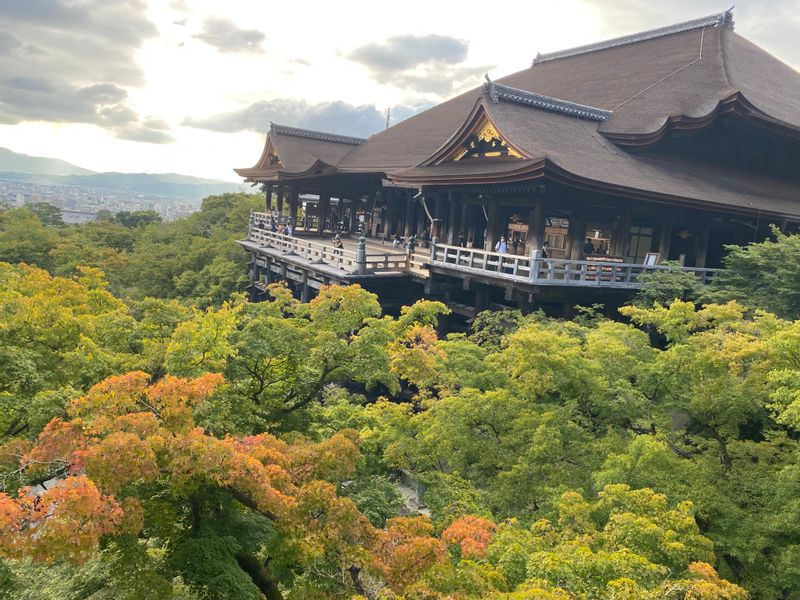 Kyoto Private Tour - Kiyomizu Temple