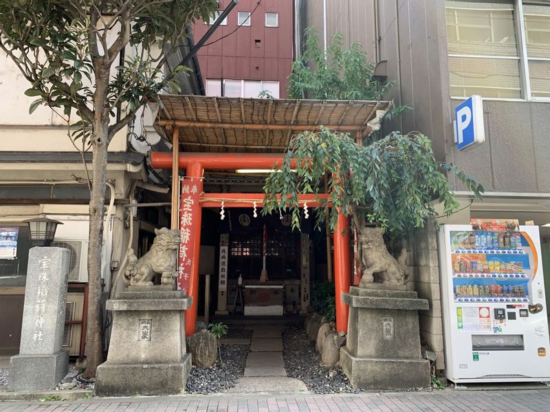 Tokyo Private Tour - Hoju Inari (deity of peace and prosperity in the household)