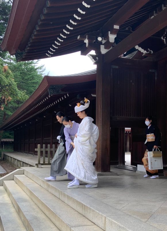 Tokyo Private Tour - Traditional Japanese wedding at Meiji shrine