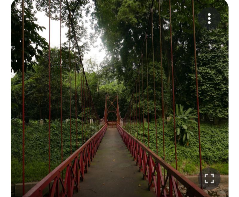 Jakarta Private Tour - Bridge in Botanical Garden