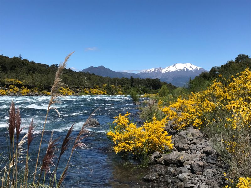 Puerto Varas Private Tour - null