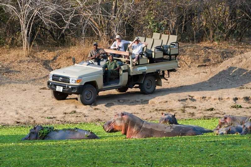 Livingstone Private Tour - You will do an exceptionally wonderful game drive in an open safari vehicle in the Mosi-oa-Tunya National Park