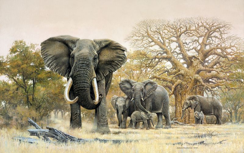 Livingstone Private Tour - You will see beautiful paintings of wildlife in the National Arts Gallery