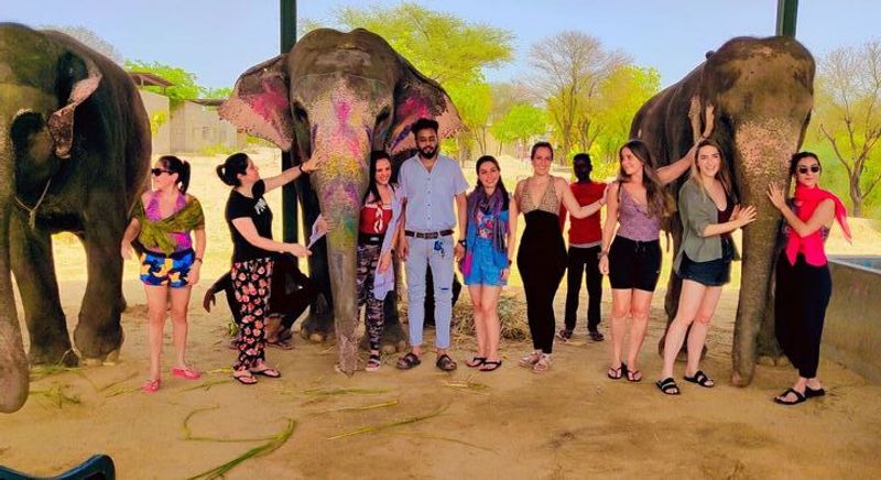 Jaipur Private Tour - Elephant village 