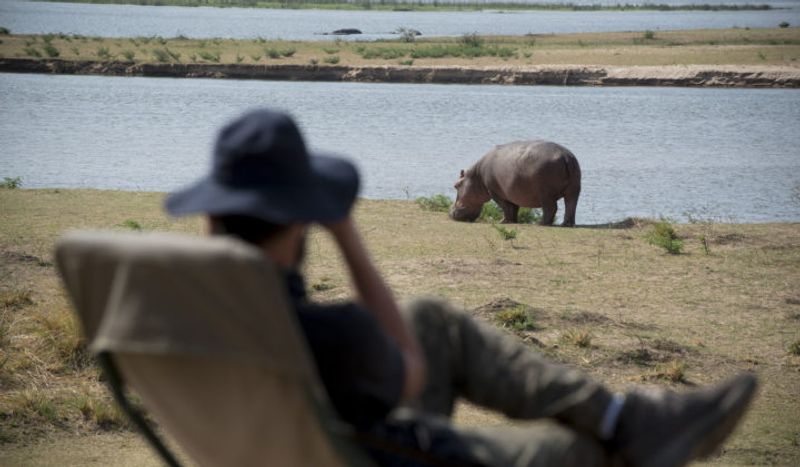 Lusaka Private Tour - You will see plenty Hippos at close range in the Kafue River