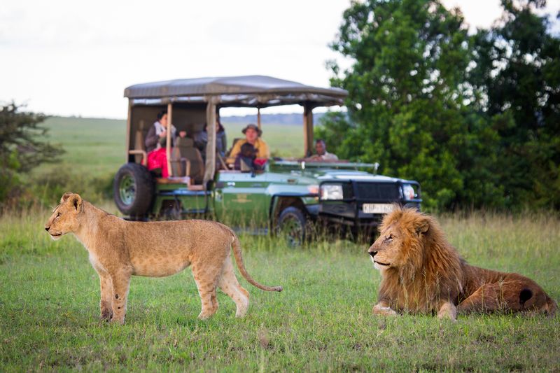 Lusaka Private Tour - You will do game drives in the South Luangwa National Park