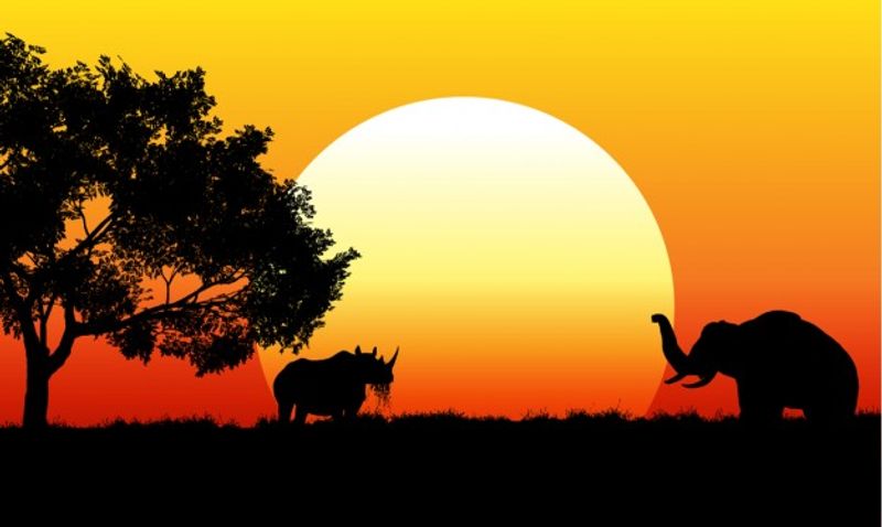 Lusaka Private Tour - You will see beautiful African Sunset