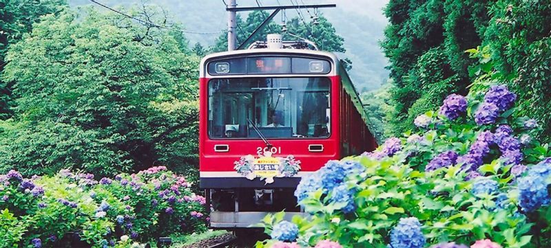 Tokyo Private Tour - Hakone Tozan Railway