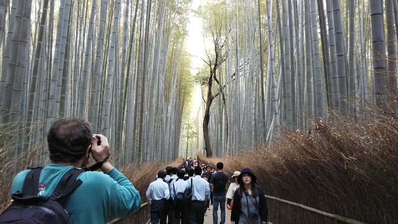 Kyoto Private Tour - Bamboo groove <West course>