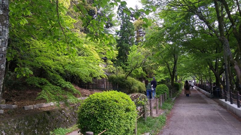 Kyoto Private Tour - Philosopher's path <East course>