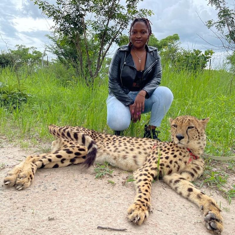 Lusaka Private Tour - Cheetah Walk at Chaminuka Game Reserve