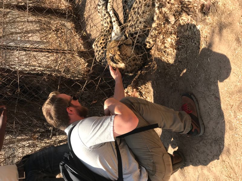 Lusaka Private Tour - Cheetah Walk at Chaminuka Game Reserve