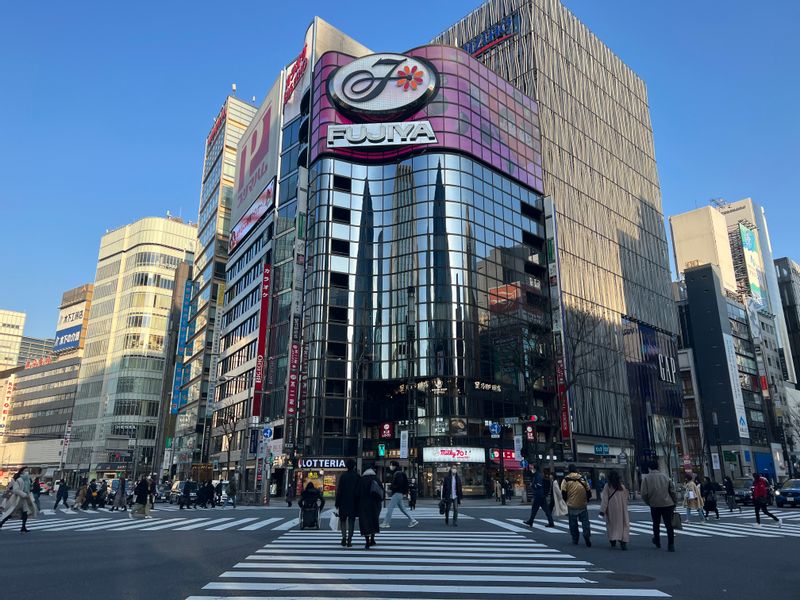 Tokyo Private Tour - Ginza Crossing