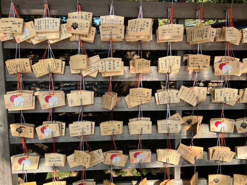 Tokyo Private Tour - Wishes on EMA plaques