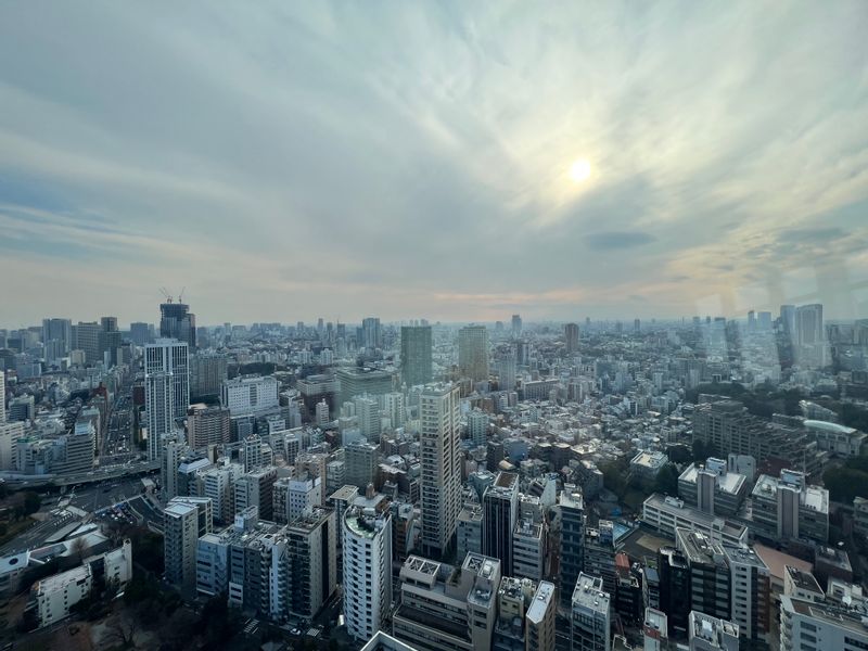 Tokyo Private Tour - View from Tokyo Skytree