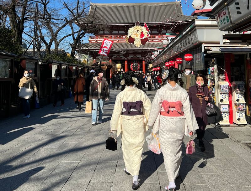 Tokyo Private Tour - Senso-ji