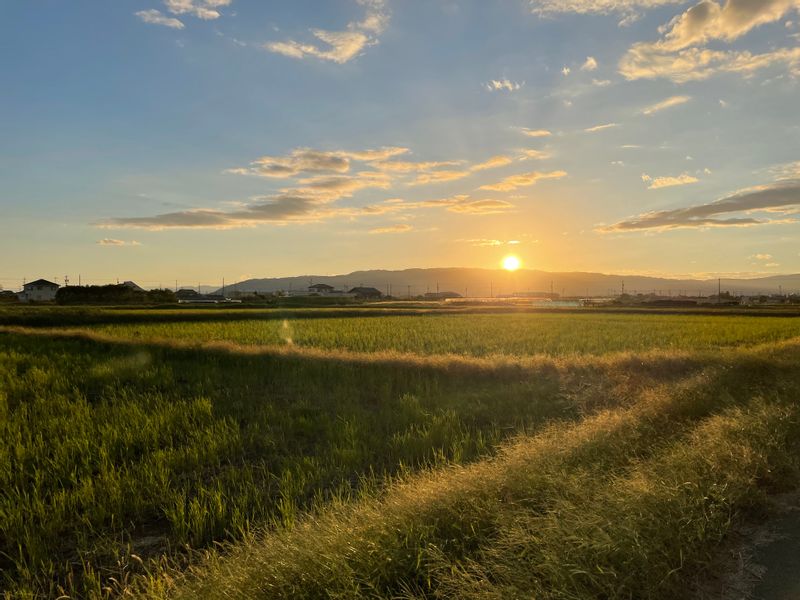 Aichi Private Tour - This is where we live. It's quiet but it's our home!