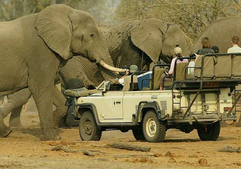 Livingstone Private Tour - You will go on a game drive in the Mosi-oa-tunya and Kafue National Park; an exciting moment