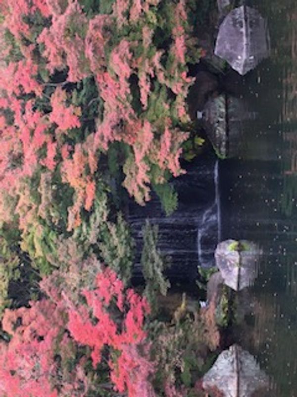 Hyogo Private Tour - Kokoen Japanese garden