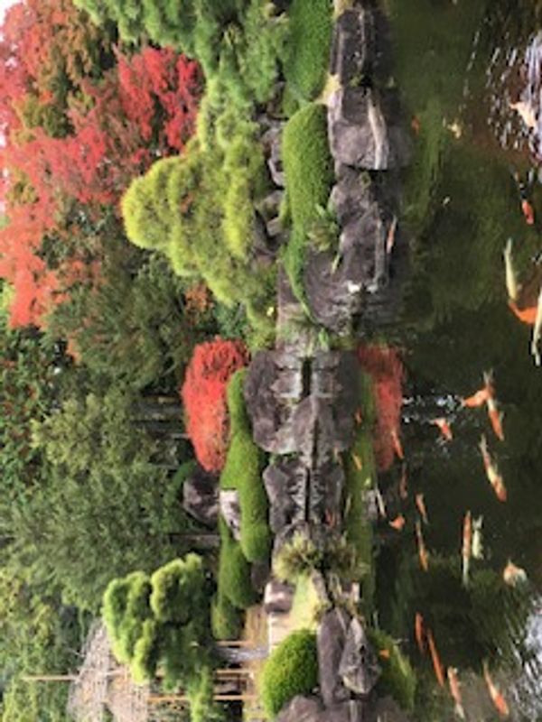 Hyogo Private Tour - Kokoen Japanese garden