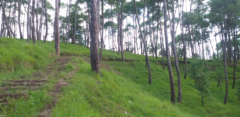 Bagmati Private Tour - Trail to Champdevi