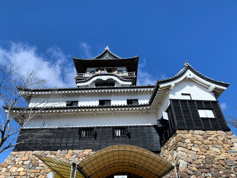 Aichi Private Tour - Inuyama castle