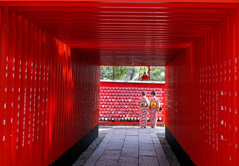 Aichi Private Tour - Inuyama castle gate