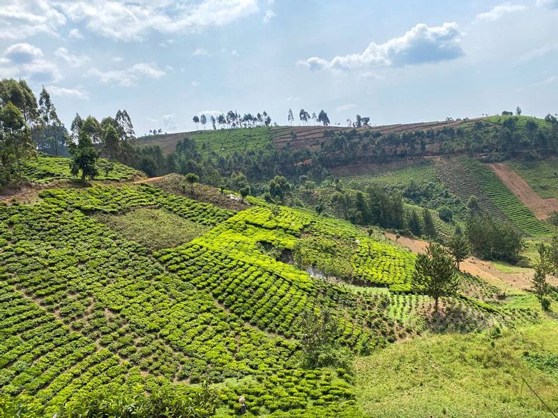 Kampala Private Tour - Rolling hills of Kabale Uganda