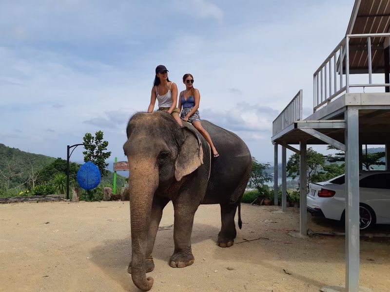 Phuket Private Tour - Elephant Camp