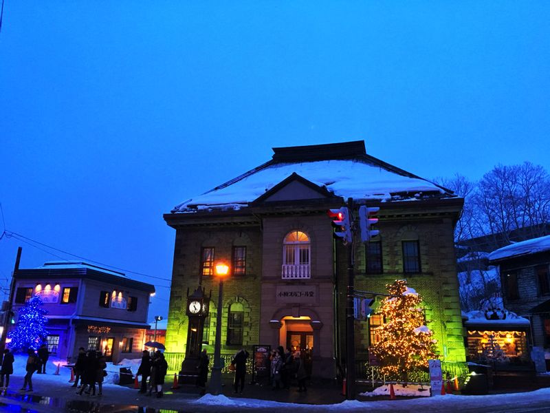 Otaru Private Tour - Music Box Museum