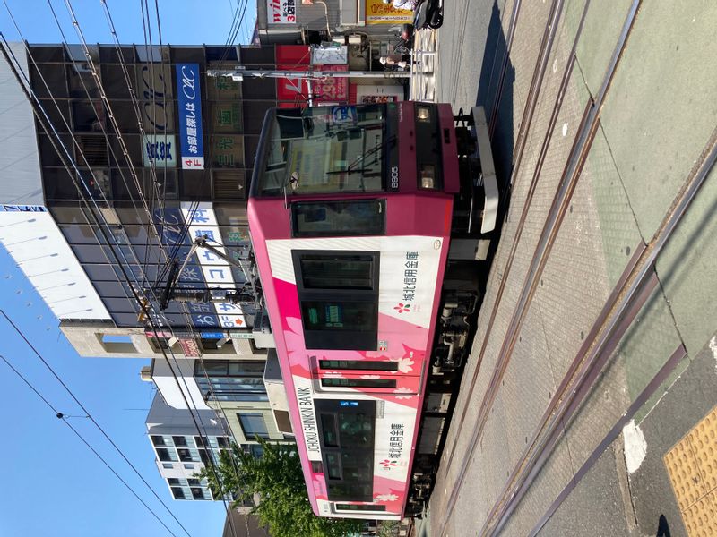 Tokyo Private Tour - Tram on the street