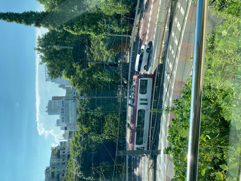 Tokyo Private Tour - View of the Tram from Asukayama park