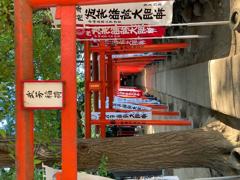 Tokyo Private Tour - Takeyoshi Inari