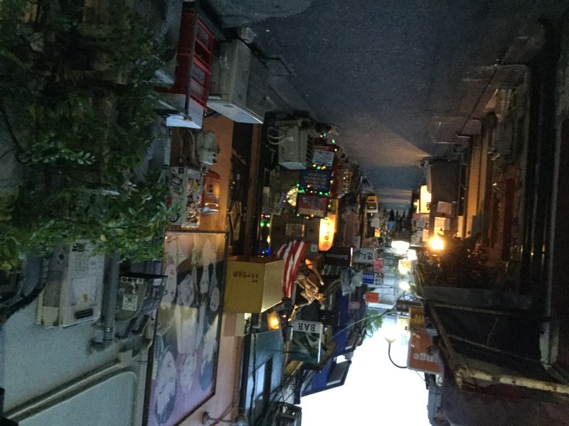 Tokyo Private Tour - Mysterious Golden-Gai in Shinjuku 