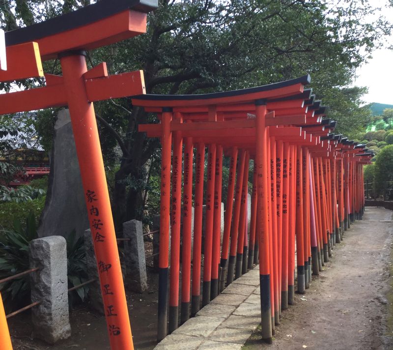 Tokyo Private Tour - Red “Torii” Gates in Nezu Shrine