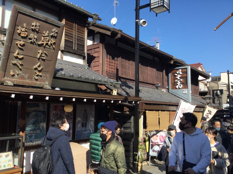 Tokyo Private Tour - Shopping street to Shibamata Taishakuten 