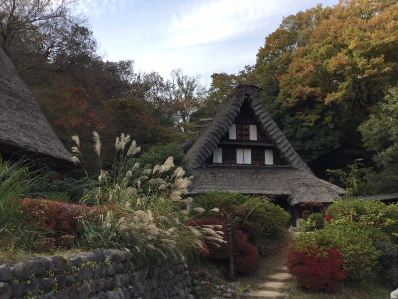 Tokyo Private Tour - Japan Open-air Folk House Museum