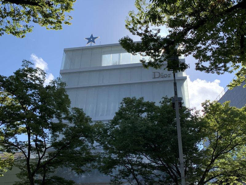 Tokyo Private Tour - Dior Omotesando (Omote Sando)