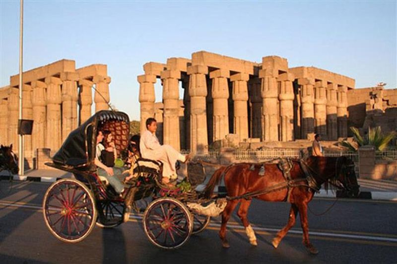 Luxor Private Tour - Luxor temple