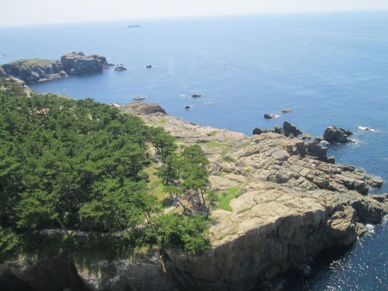 Shimane Private Tour - Hinomisaki cape was created by submarine volcano explosion 1-2 million years ago. You will see Its geograpphical feature; columnar joints.