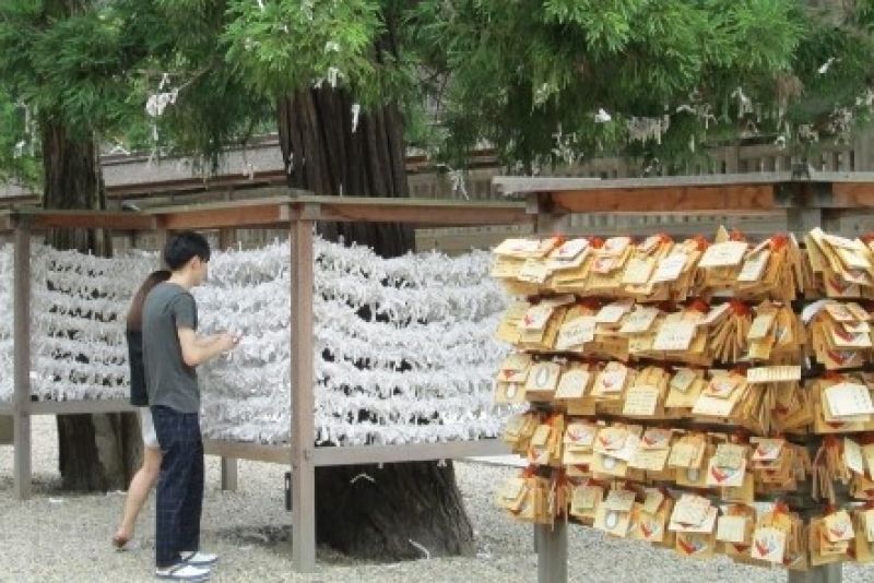 Shimane Private Tour - Izumo Grand Shrine:  fortune strips tied by the visitors 