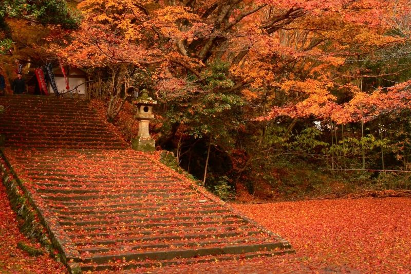 Shimane Private Tour - Gakuenji-Temple (autumn)
