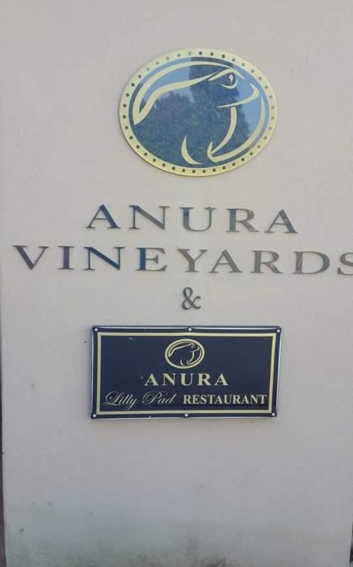 Cape Town Private Tour - Anita Wines Stellenbosch 