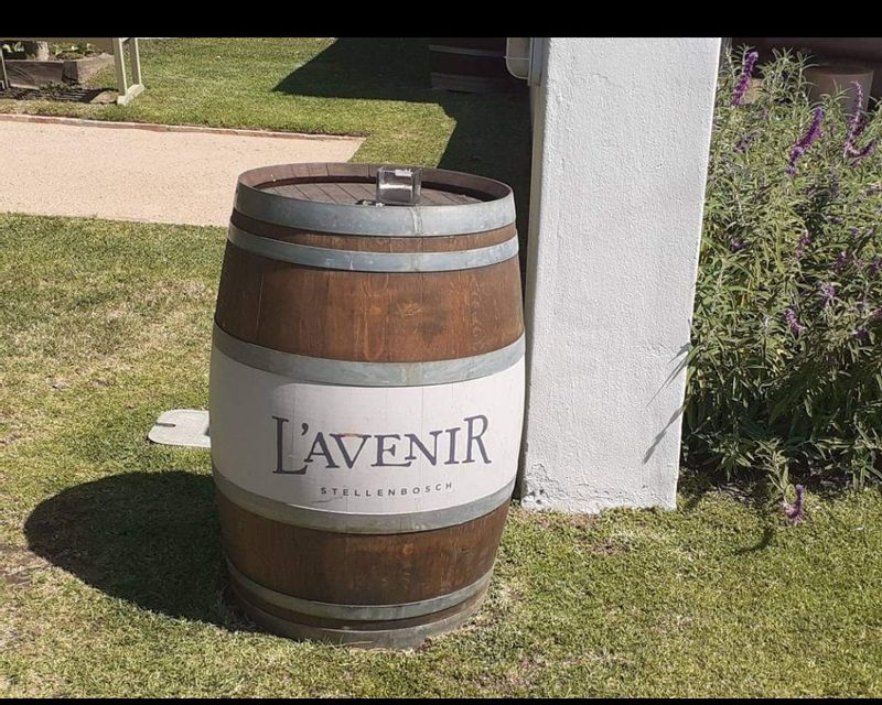 Cape Town Private Tour - Entrance to Lavenir wine estate. 