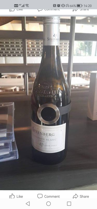 Cape Town Private Tour - Steenberg Wines