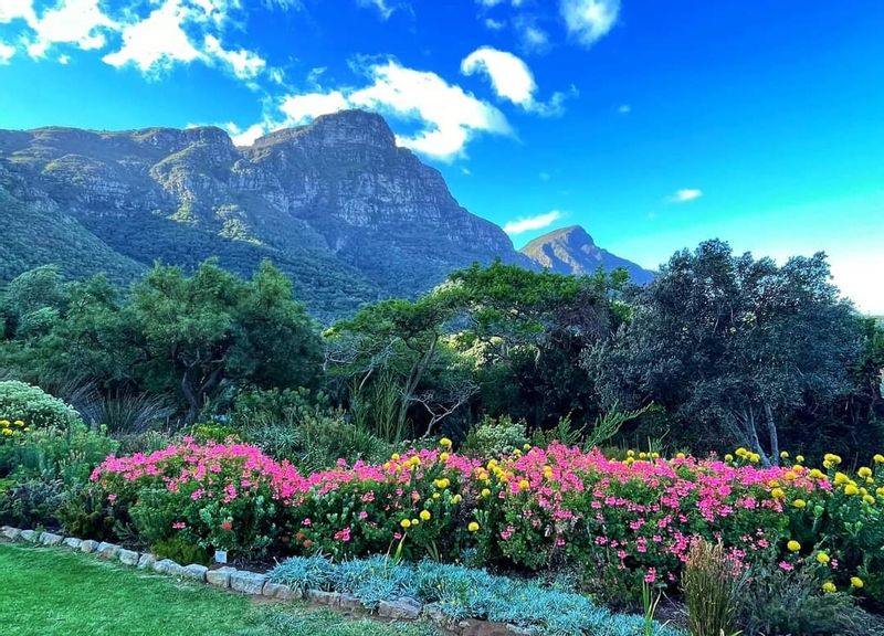 Cape Town Private Tour - Kirstenbosch